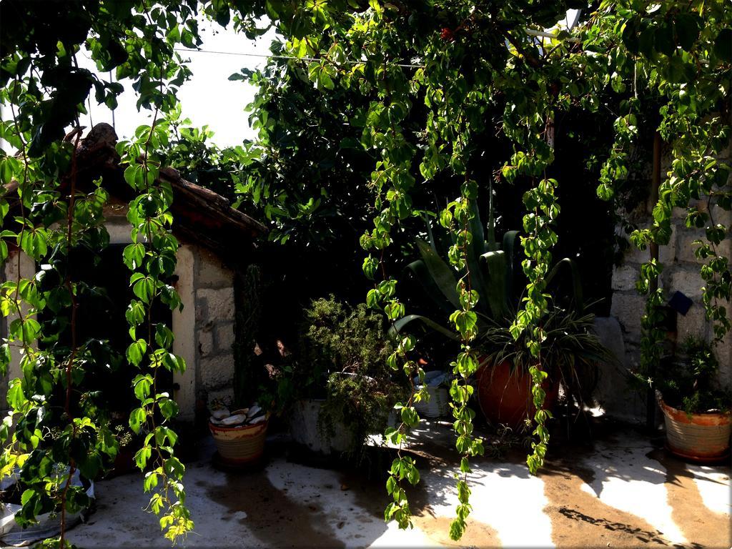 Villa Residence Burgus-Antium Trogir Exteriér fotografie